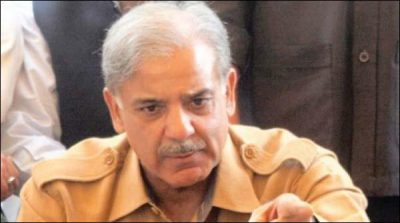 The decision to make Shahbaz Sharif as president of PML-N