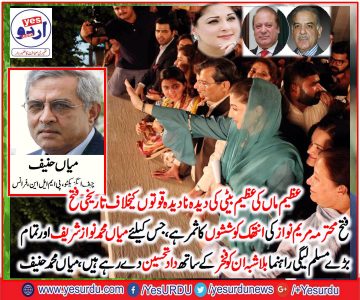 Mian Muhammad Hanif, CE, PMLN, France, congratulate, PMLN, on, historic, victory