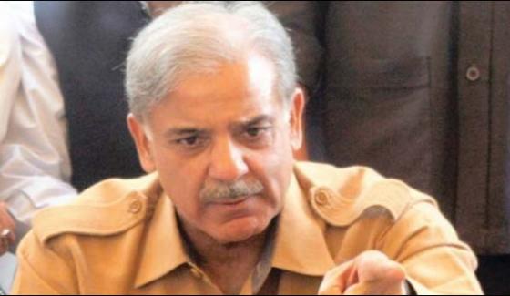 شہباز شریف نے سوات کے علاقے کبل میں آرمی یونٹ پر ہونے والے خود کش حملے میں سیکیورٹی فورسز کے اہلکاروں کی شہادت پر دکھ اور افسوس کا اظہار