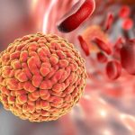 zika, virus, to, use, for, curing, cancer,