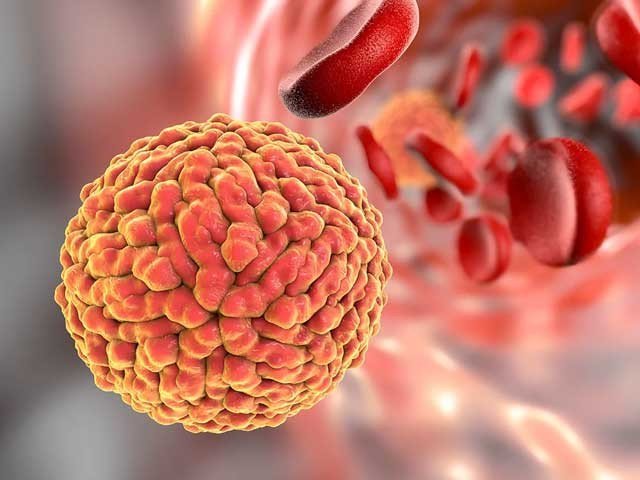 zika, virus, to, use, for, curing, cancer,