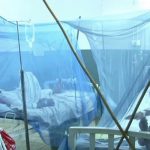 Two more dengue patients have died in the peshawar, the deaths have risen to 17