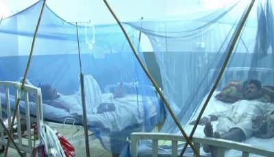 Two more dengue patients have died in the peshawar, the deaths have risen to 17