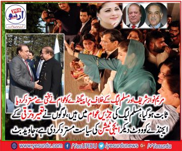 Javed Butt, Ex-President, PMLN, France, congratulate, PMLN, on, historic, victory