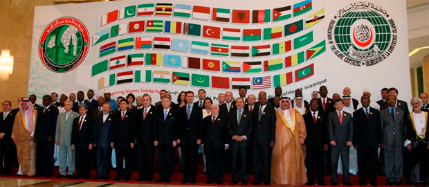 OIC's work
