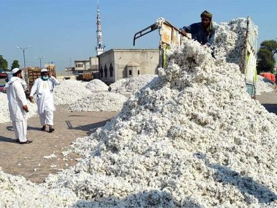 The Punjab government demanded to stop the import of cotton, anti-generas