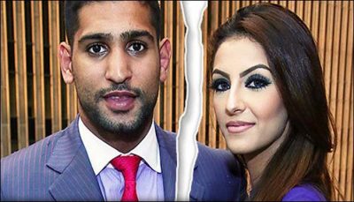 Aamir filed an application for the divorce from Faryal