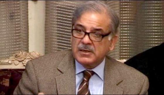 سات ستمبر فضائیہ کے شاہینوں کی شجاعت کا تاریخی دن ہے، شہباز شریف