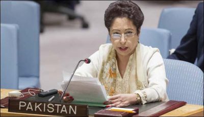 India is the mother of terrorism in South Asia, Maleeha Lodhi