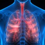 Bleach increase the risk of lung diseases