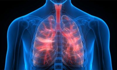 Bleach increase the risk of lung diseases