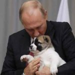 Putin pleasant on getting a dog gift from Turkmenistan president