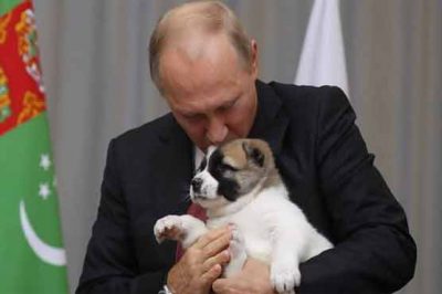 Putin pleasant on getting a dog gift from Turkmenistan president