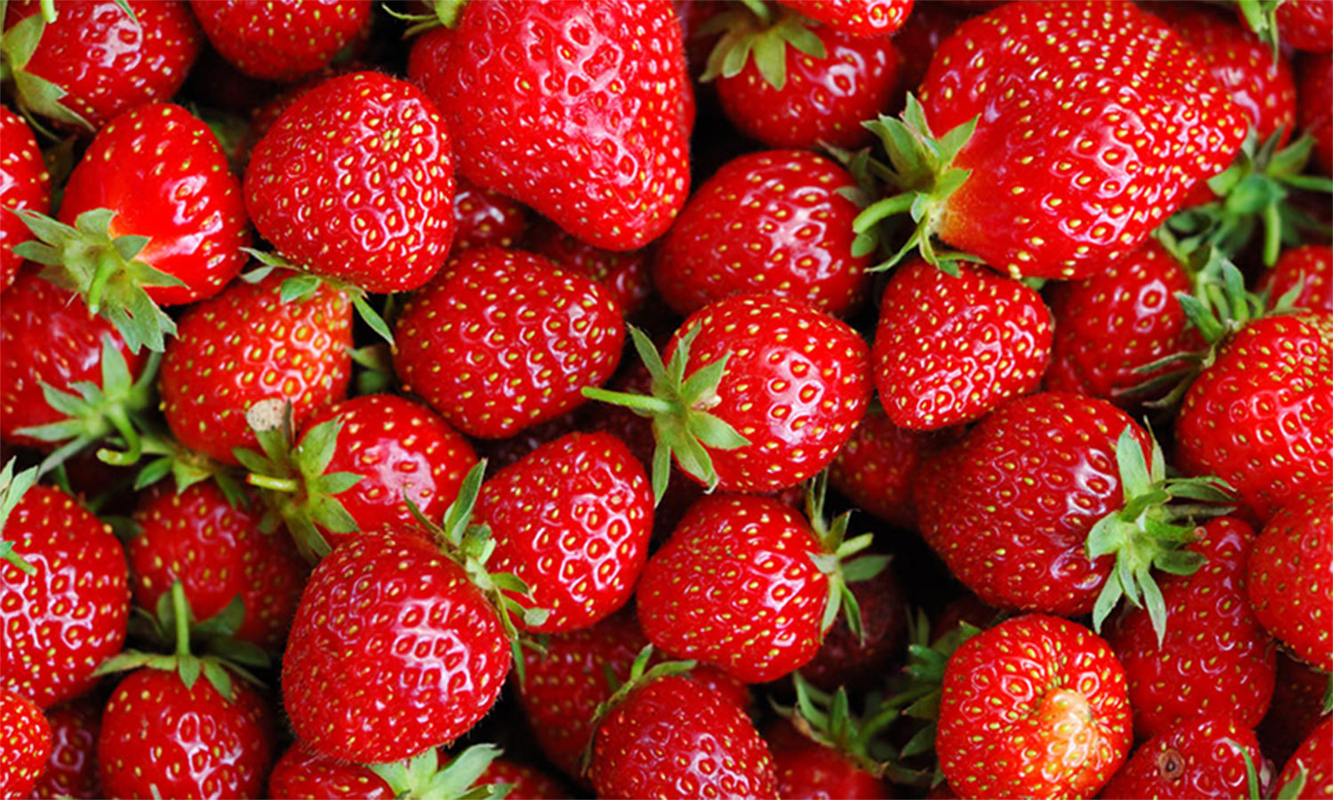 Food, which, is, Helpful, to, activate, your, brain