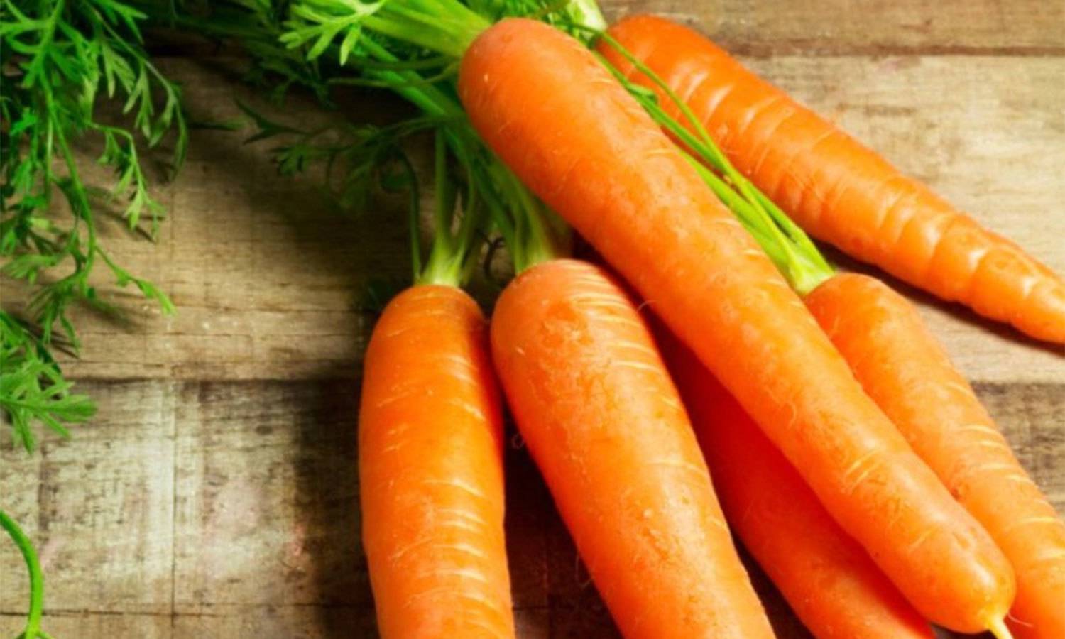 Food, which, is, Helpful, to, activate, your, brain