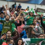 The cricket bricks come back, the faces of the fans open