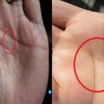 Do you have this mark exist on your palm?