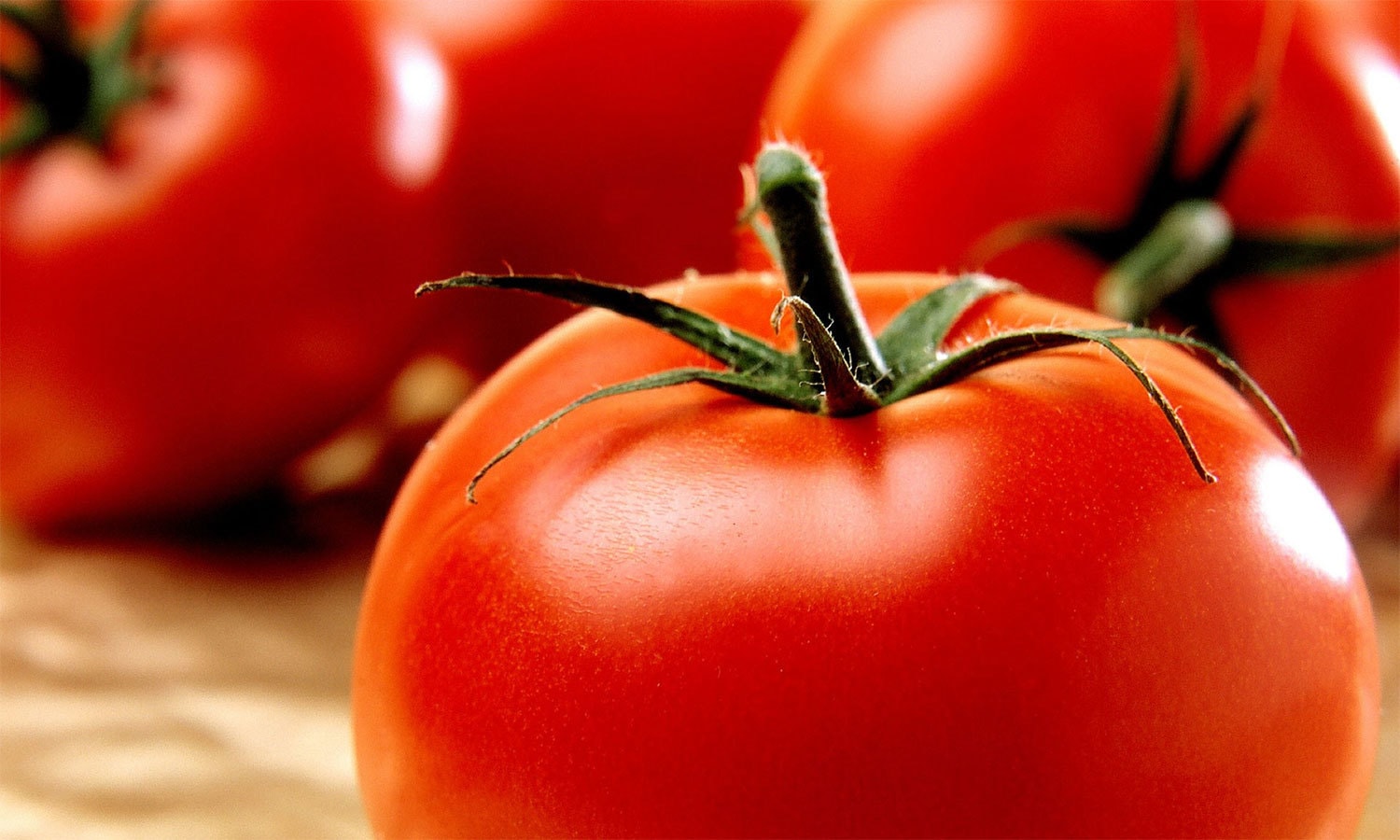 Food, which, is, Helpful, to, activate, your, brain