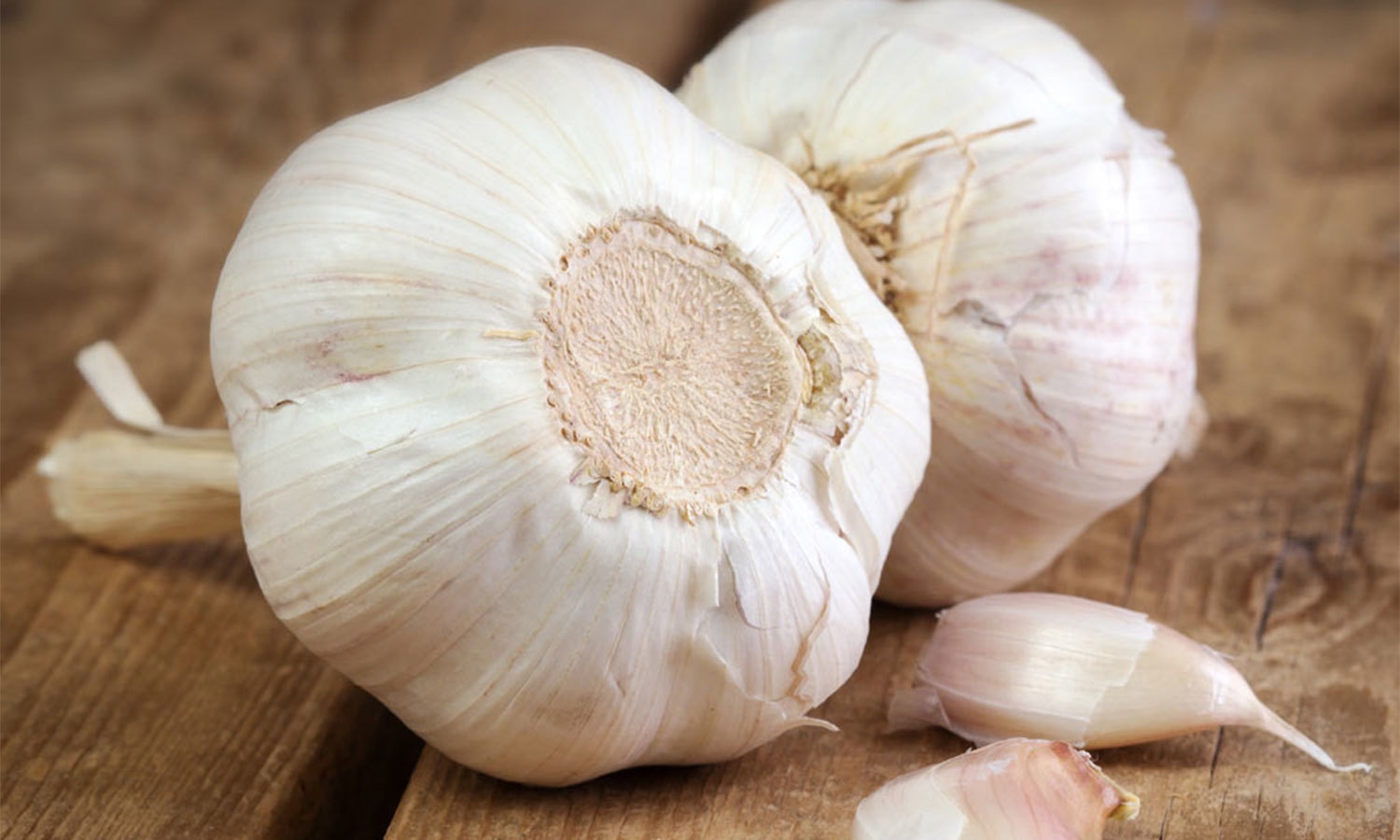 Food, which, is, Helpful, to, activate, your, brain