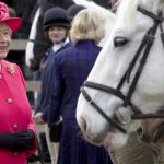The race is not just the Queen Britain passion but also the treasure fortune