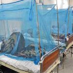 Dengue kills another teenager in Peshawar, the number of deaths has been 65
