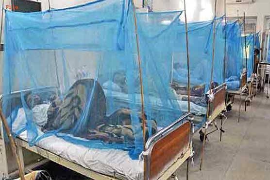 Dengue kills another teenager in Peshawar, the number of deaths has been 65