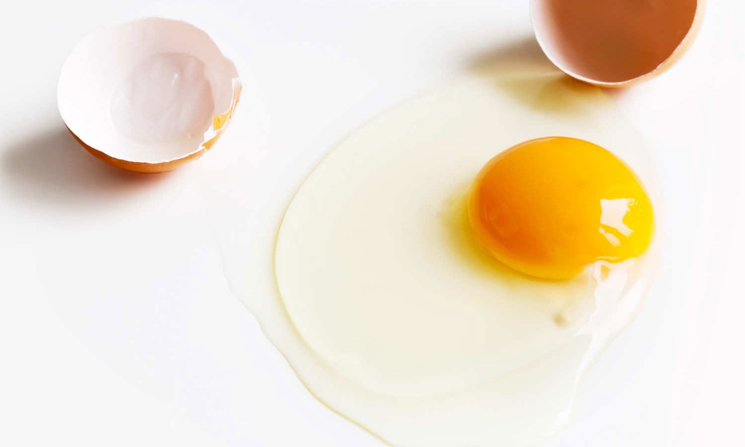 Food, which, is, Helpful, to, activate, your, brain