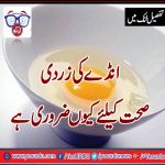 most-powerful-elements-in-eggs