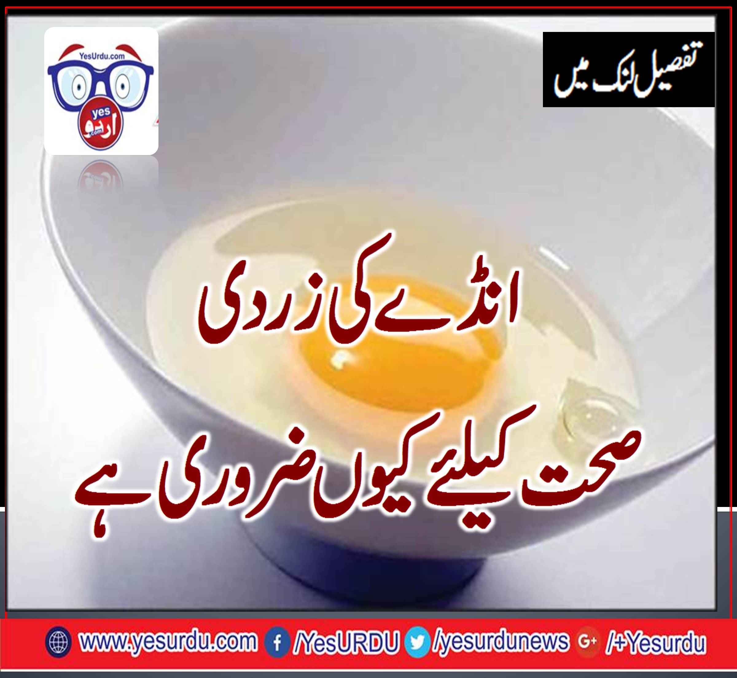 most-powerful-elements-in-eggs