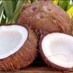 Unique claim to find blood group through Coconut