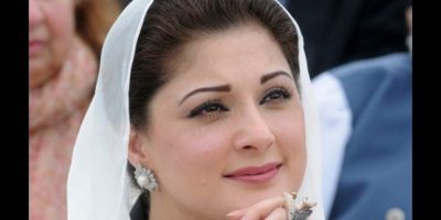 Maryam Nawaz, said, about, future, of, her, brothers