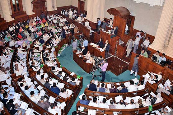 Punjab Assembly: Strangers on the talk to eat the puppy, cats meat to the public