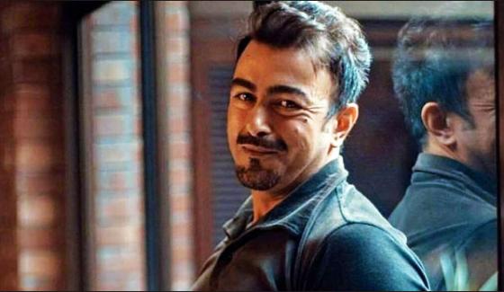 The first trailer released by the Pakistani movie Arth 2