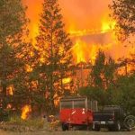 Fire uncontrolled in forestry of California, 11 people killed, 100 injured
