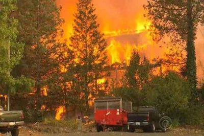 Fire uncontrolled in forestry of California, 11 people killed, 100 injured