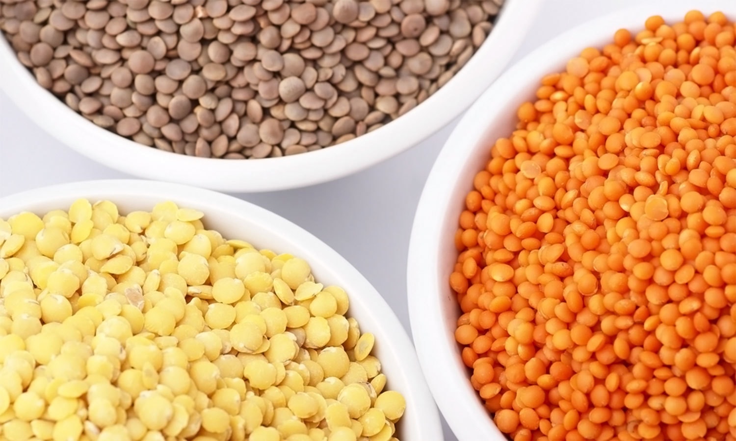 Food, which, is, Helpful, to, activate, your, brain