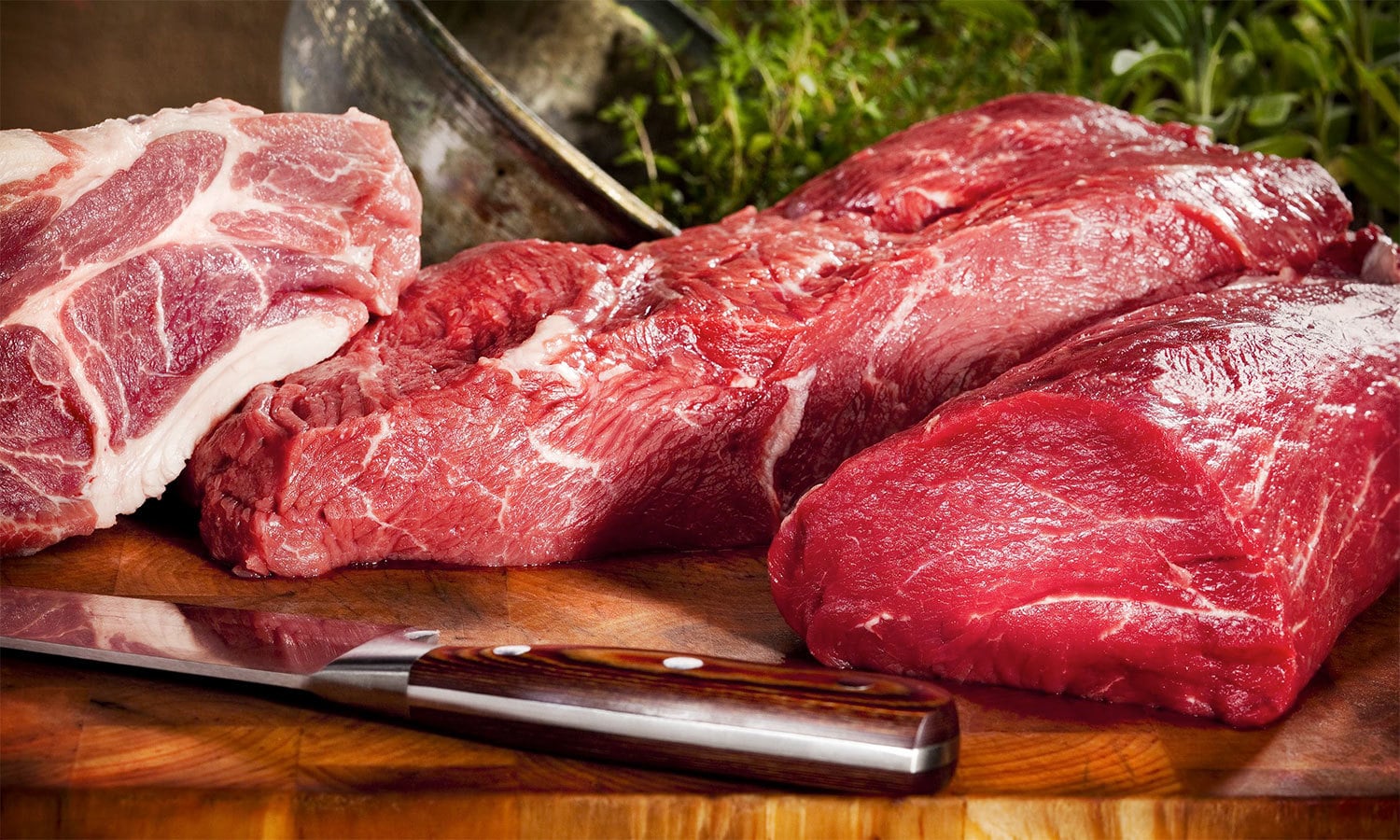 Food, which, is, Helpful, to, activate, your, brain