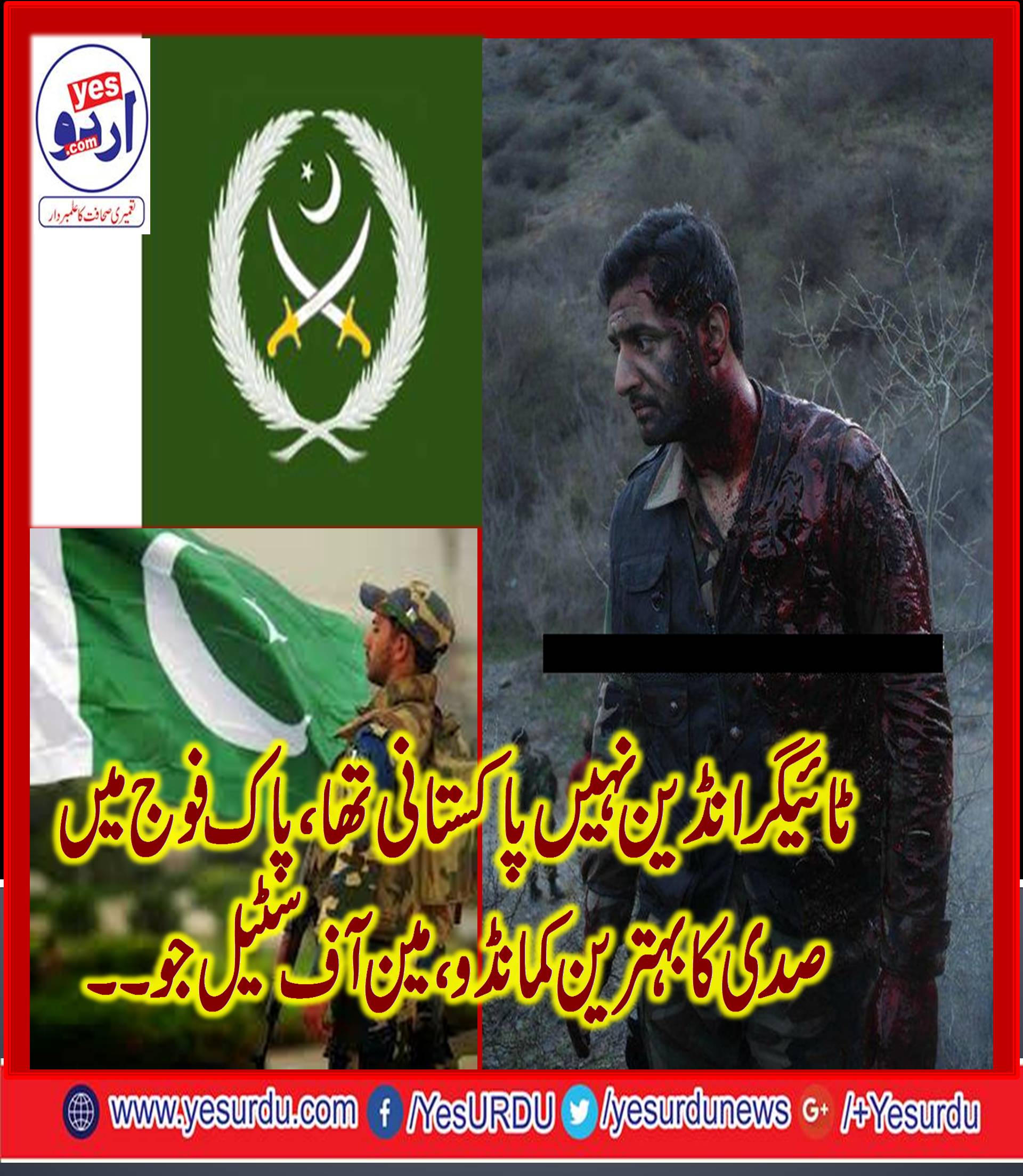 Captain, Tariq Mehmood, Shaheed, Tiger, fame, commando, of Pakistan