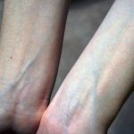 Human, body, vein,