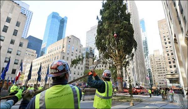New York: installed a 75-foot high-walled christmas tree