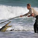 People scared watching the crocodiles on the coast in Los Angeles
