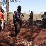 Many people killed at Malawi due to being a Dracula