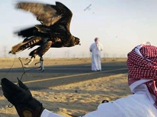 Ask from the Punjab government to allow the hunting to the Qatari prince