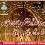 Govt. Holidays, on, Eid, Milad Un Nabi, expected, to, be, 3, days, if, Moon, sighted, after, 29, Safar