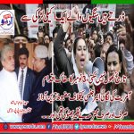 SENIOR, LEADER, PPP, GERMANY, ZAHID, ABBAS, SHAH