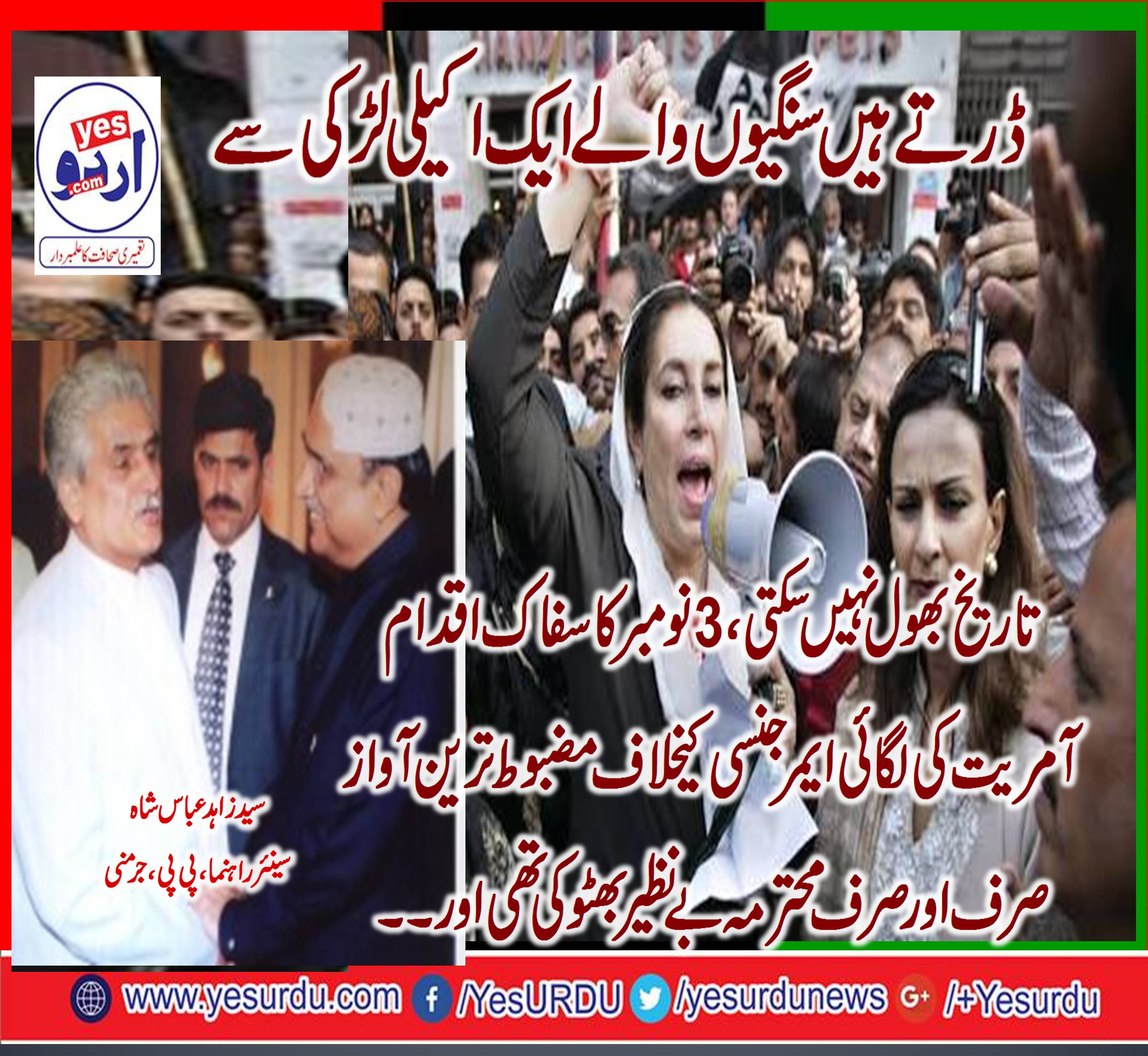 SENIOR, LEADER, PPP, GERMANY, ZAHID, ABBAS, SHAH