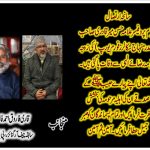 QARI FAROOQ AHMED, FAROOQI, SENIOR, LEADER, PPP, FRANCE