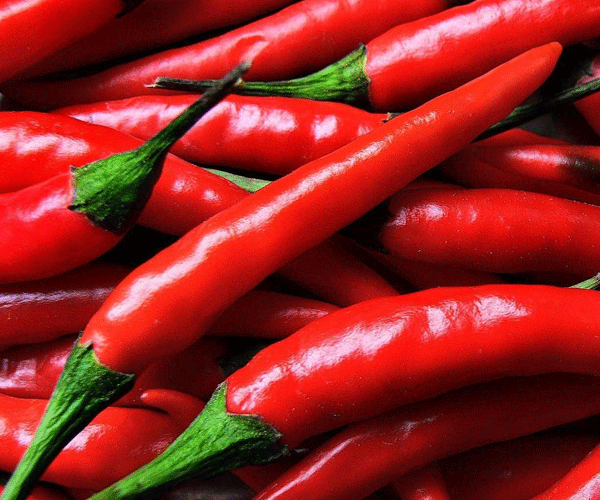 1012793-chilli-1512024903