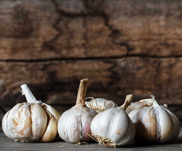 1012793-garlic-1512024931