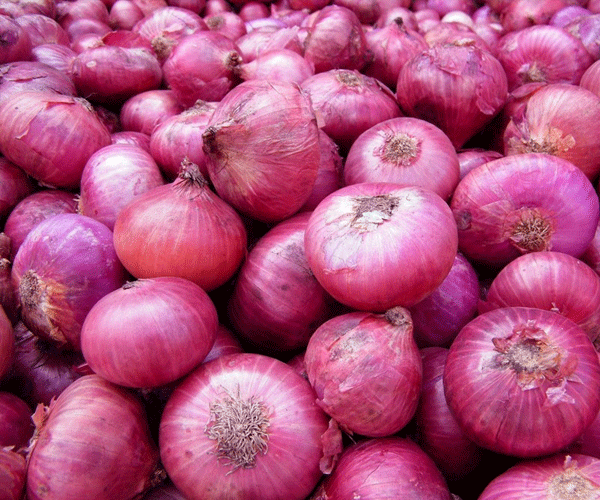 1012793-onion-1512024856